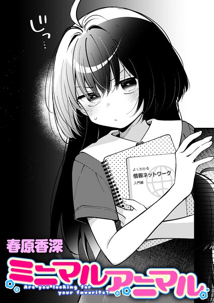 B915awnmg04513pl