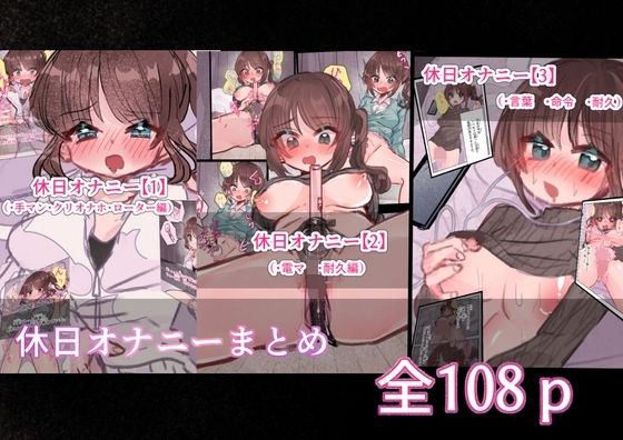 D 811160pl