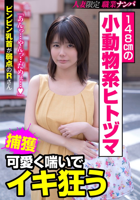 H 1787jksr41301pl
