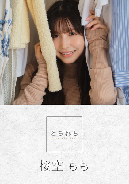 S229asnph00017pl