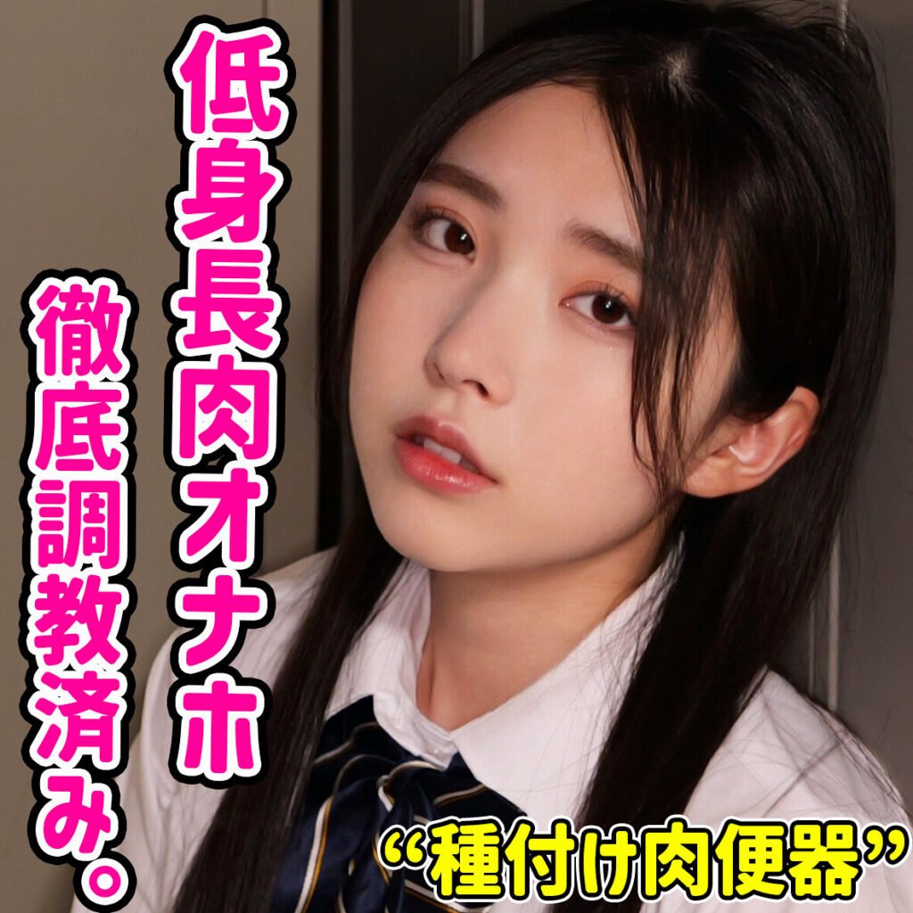 Smuc173jp